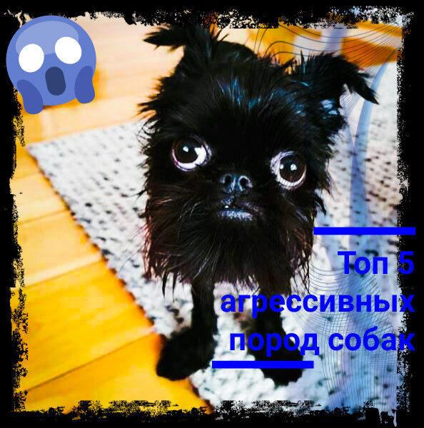 Фото взято из открытых источников. Аррррр😁