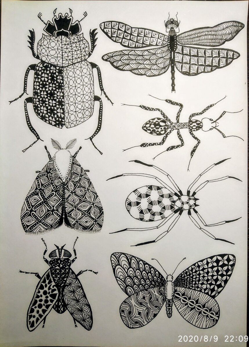 Одна из моих работ в Творческом марафоне "Эти прекрасные насекомые" с Ириной Лакото