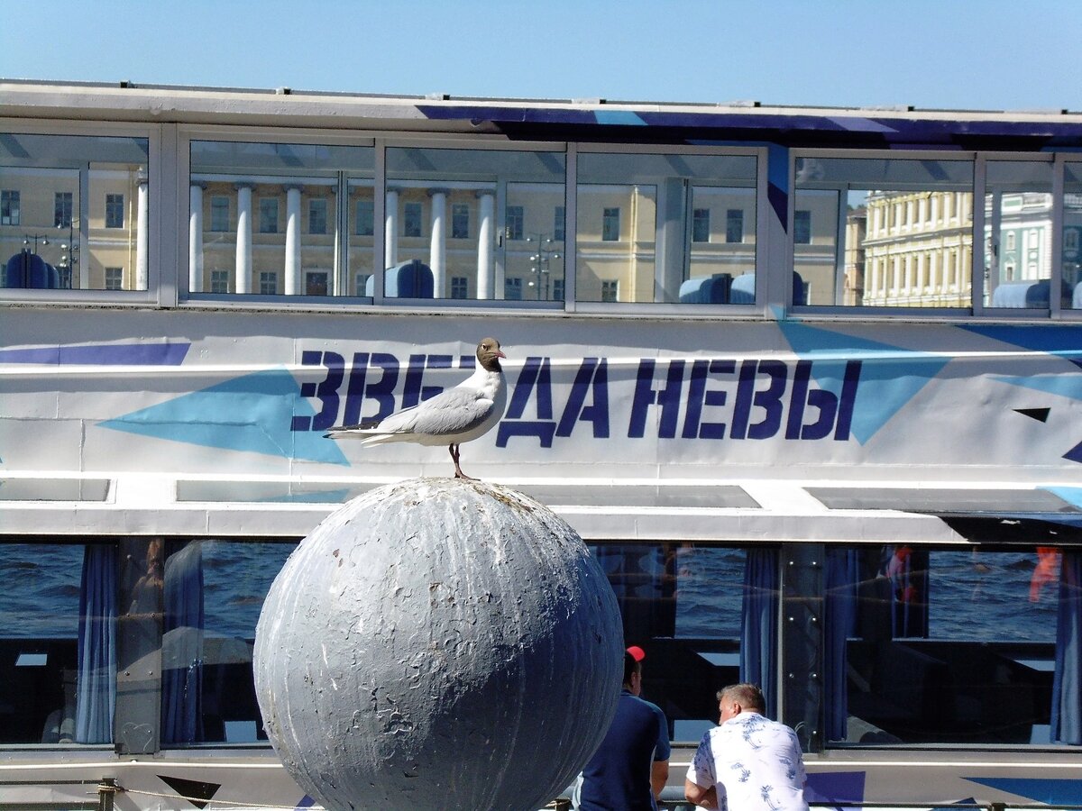 Фото автора