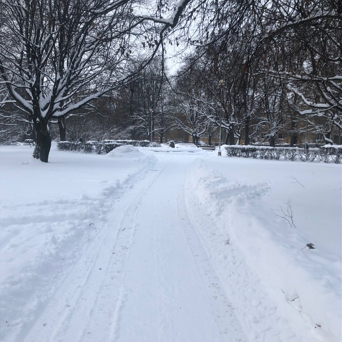 English. Чем отличается английское it’s freezing от it’s freezing cold ...