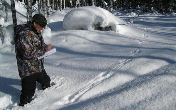    В Оренбургской области проверят численность 15-ти видов диких животных и птиц до 15 марта 2023 года