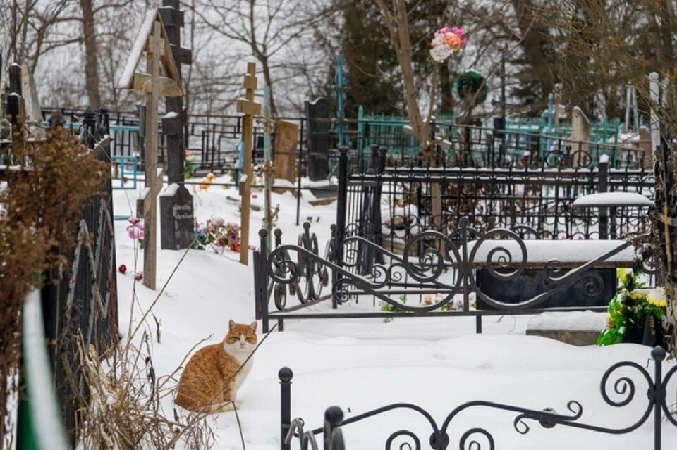     С появлением «второй очереди» Ростовское кладбище окажется вдвое больше допустимой федеральной нормы. Михаил ФРОЛОВ