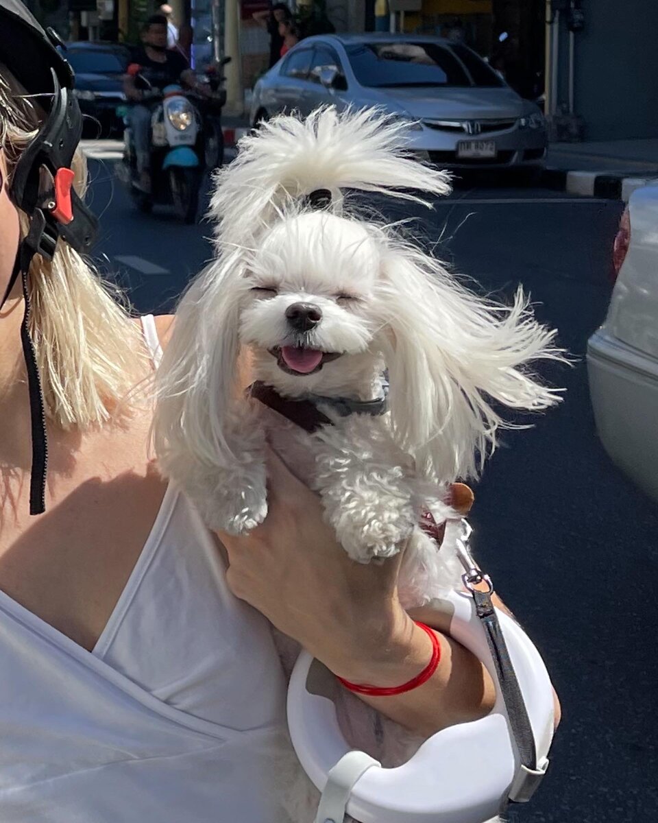 Молли сразу здесь понравилось. Особенно ей понравилось кататься на мопеде. 