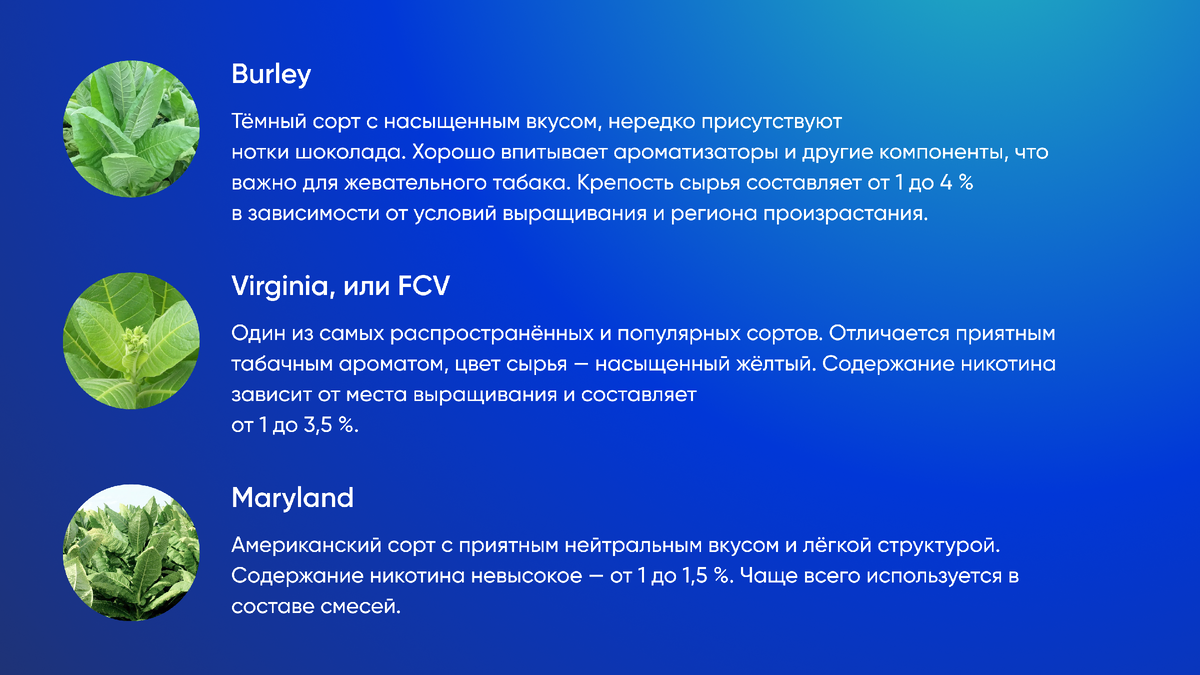 Что находится в составе жевательного табака | Nicton | Комплексное  снабжение никотиновых производств | Дзен