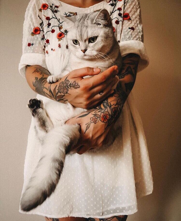 *фото с просторов интернета  