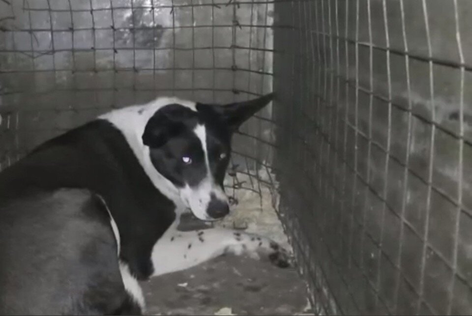     Фото: Мэрия