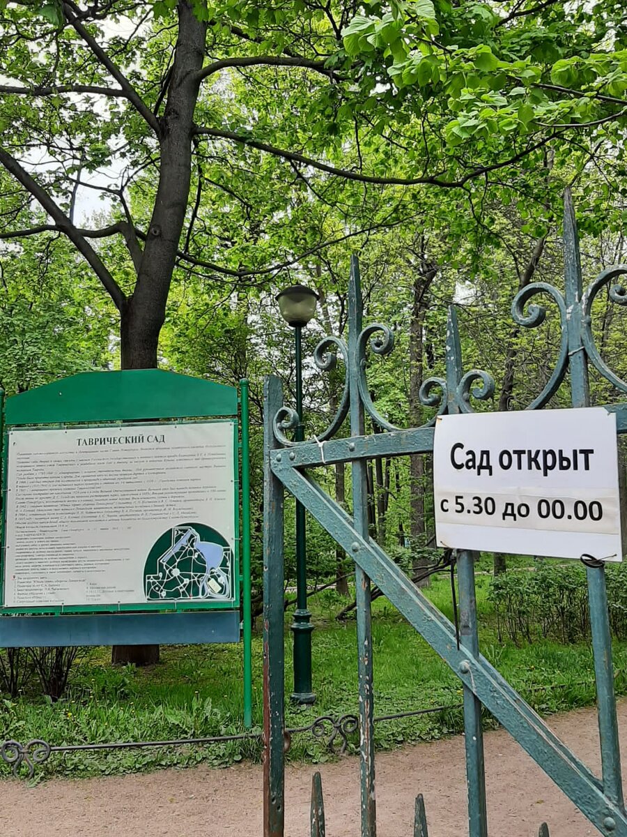 Вход с Кирочной улицы. 