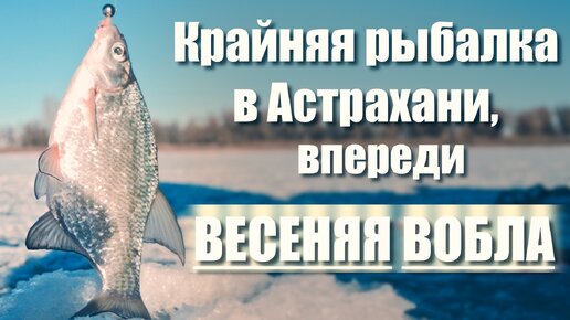 ВОТ ЭТО РЫБАЛКА. Снова полно рыбы в этой ЯМЕ. Подводные съемки на 12 метрах