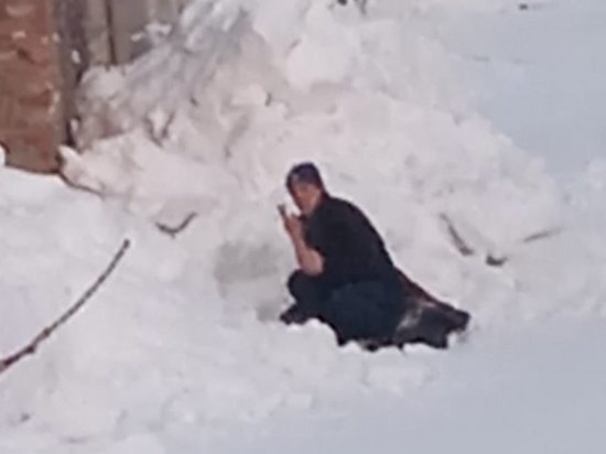     Мой Первомайка