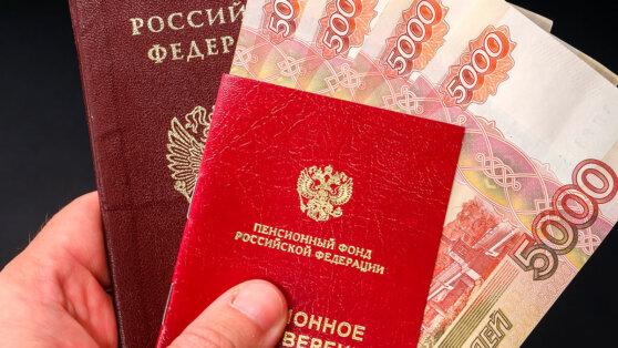    В Совфеде одобрили закон об особенностях пенсионного обеспечения в новых регионах России Юлия Шелковенко