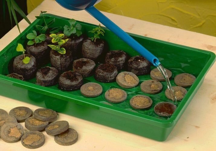 Майл.Картинки