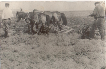 Весенний сев в районе. 1920-е