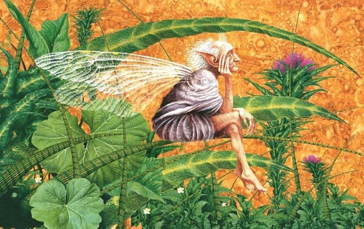 Художник-иллюстратор Владислав Ерко, "Британские рыцарские сказки"