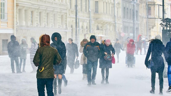    В Санкт-Петербурге объявили "желтый" уровень погодной опасности из-за порывистого ветра Дарья Смирнова