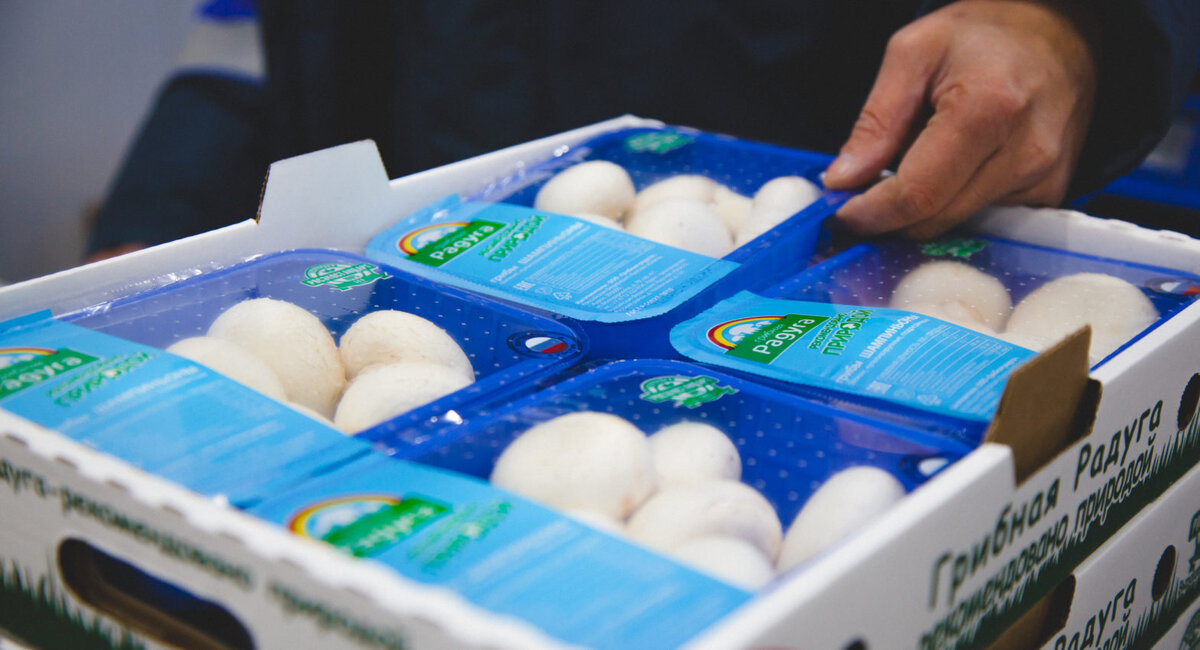    Время шампиньонов