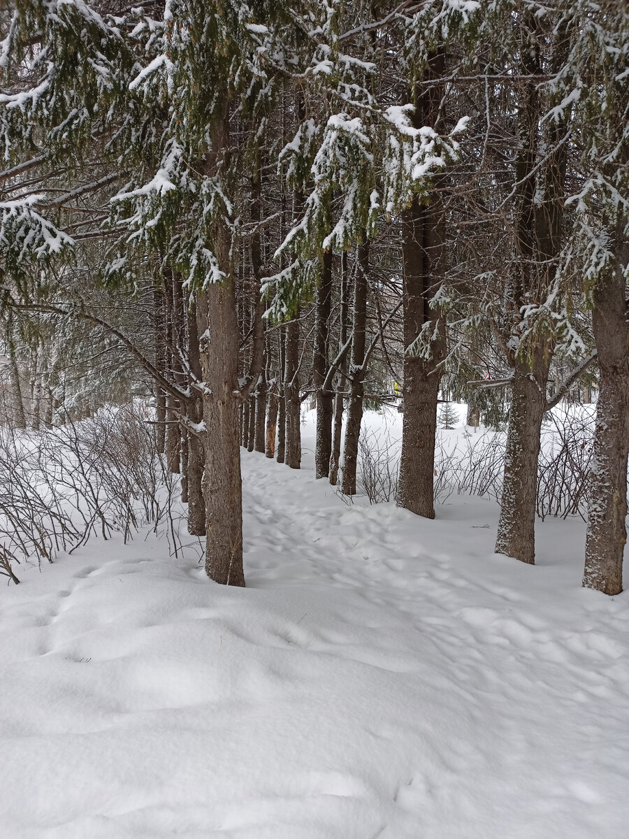 Зима ещё на Урале, хоть и март уже 
