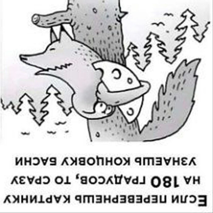 Картинки перевертыши для детей