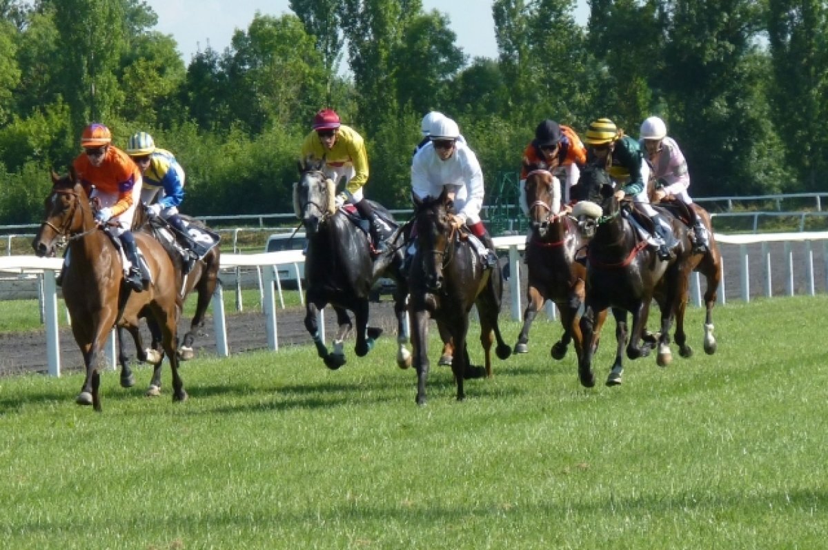    На воронежский ипподром на время приедут московские лошади