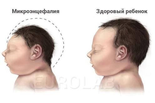 ФОТО: из общедоступных источников