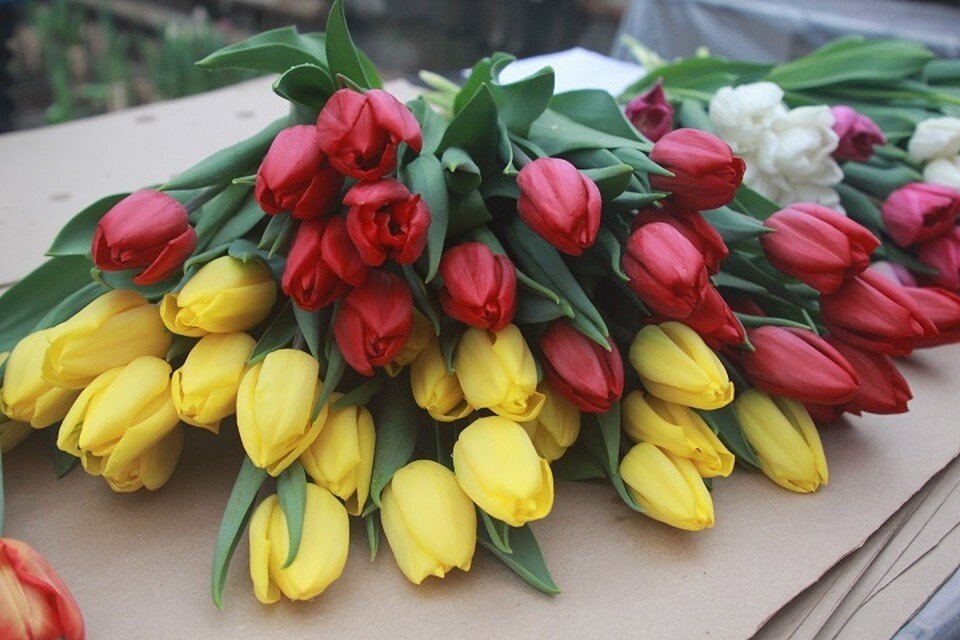     Для женщин в Казани подготовили спортивные мероприятия и экскурсию по городу. Юлия ПЫХАЛОВА