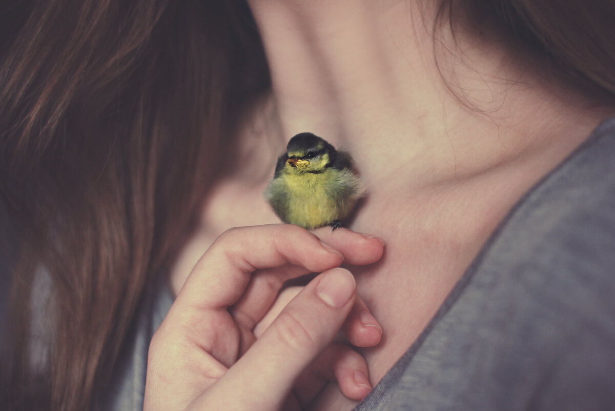 в свободном доступе