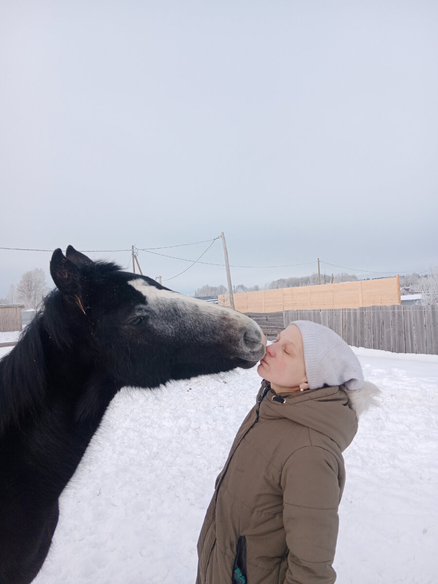 Поцелуй лошадки