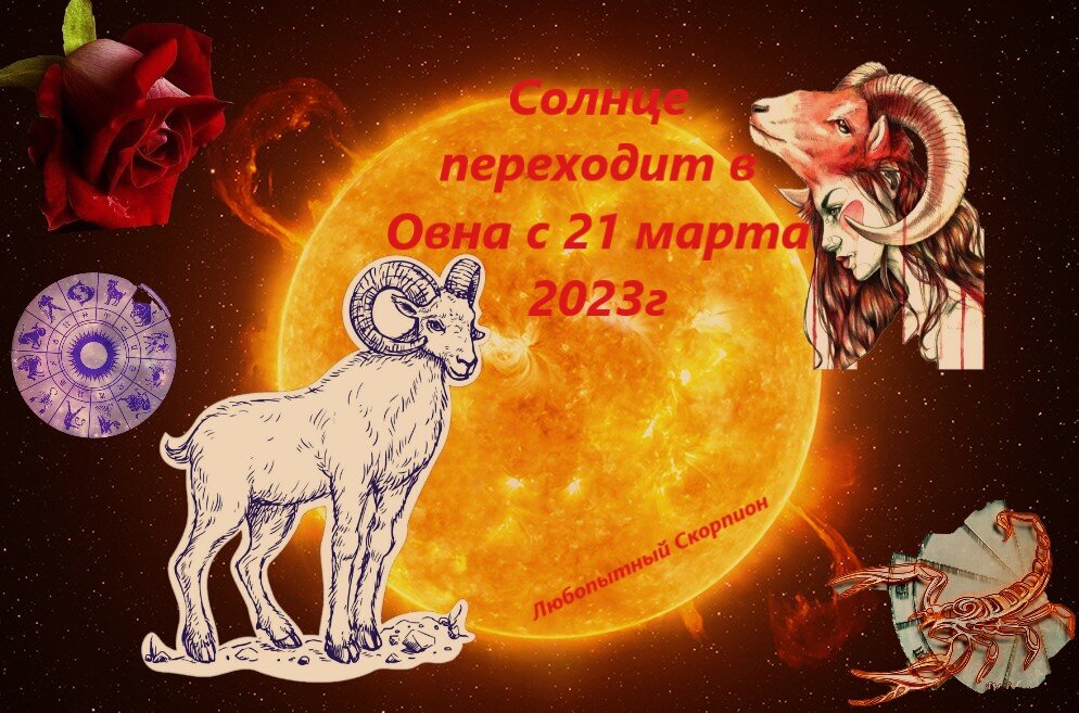 моя картинка