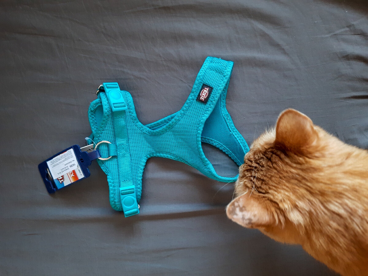 Не одобряет ))) 