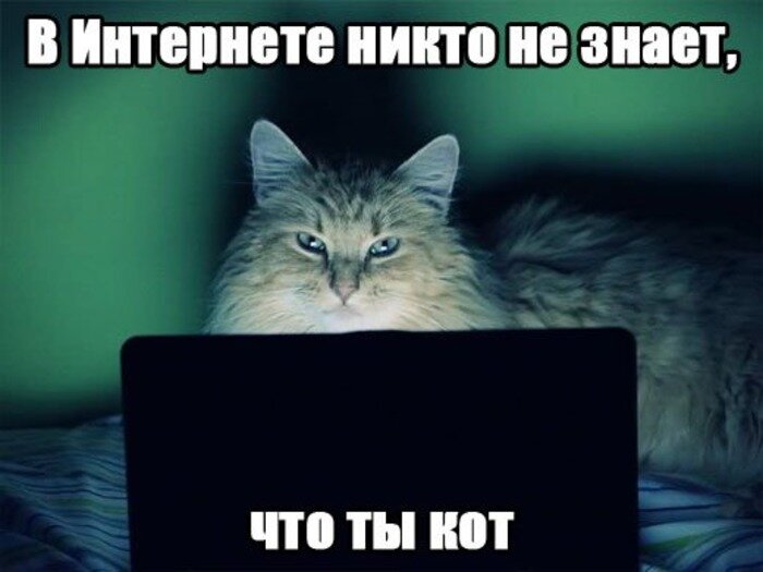 Никто не знает. Никто не знает что ты кот. В интернете никто не знает что ты. В интернете никто не знает. Ты кот.