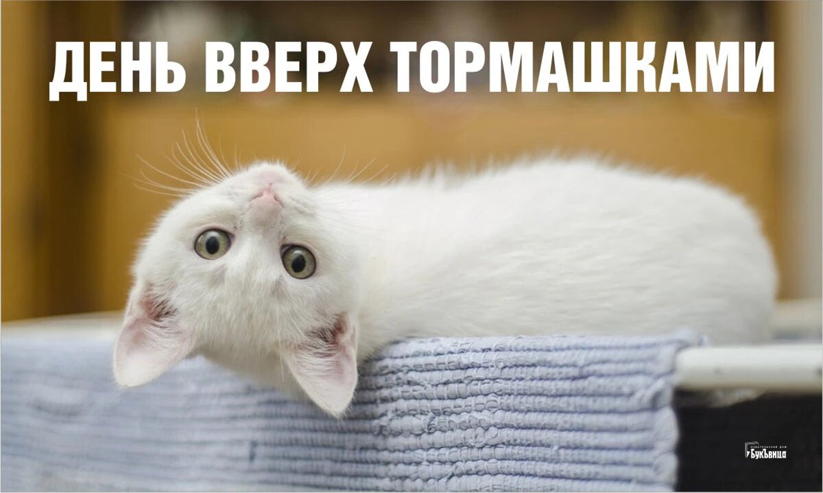 День вверх тормашками. Иллюстрация: «Курьер.Среда»