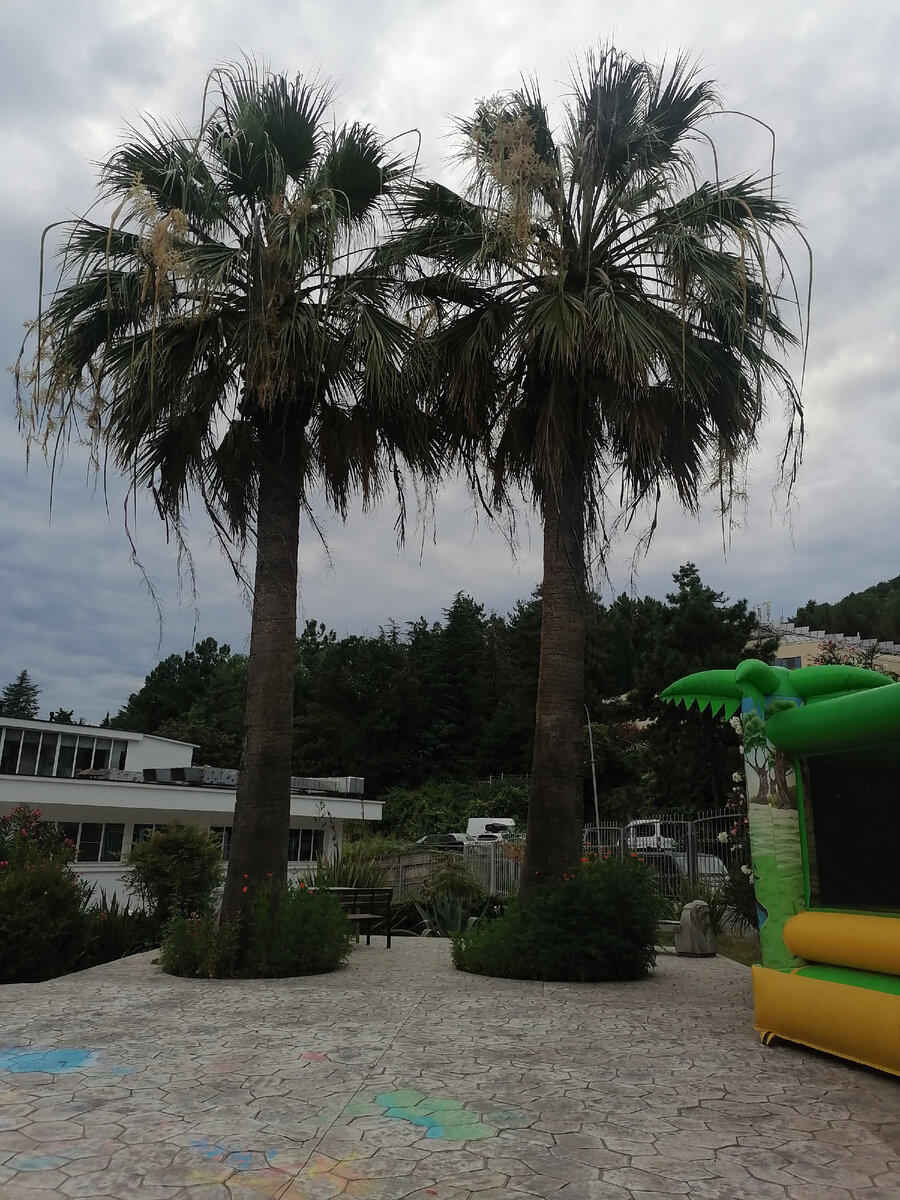 На детской площадке пансионата "Ларимар" в Лоо.