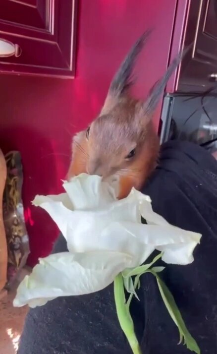 Фото: соцсети