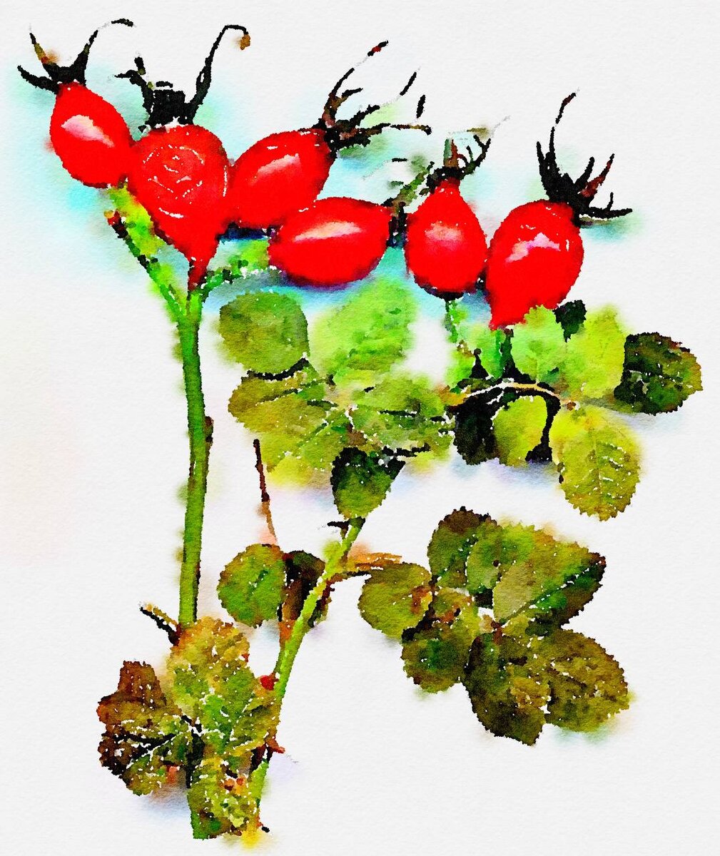 акварель, хлопок, апрель 2021