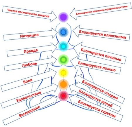 За что отвечают чакры в йоге