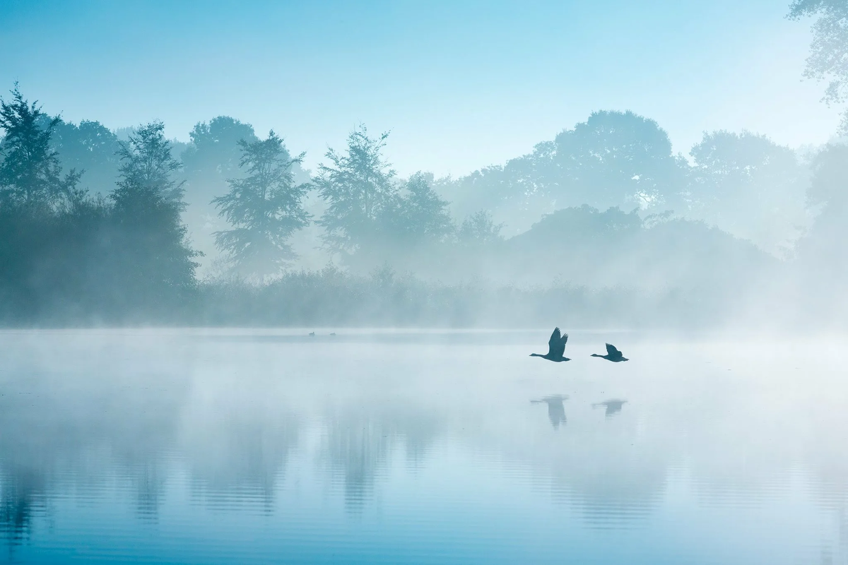 Изображение взято из открытых источников