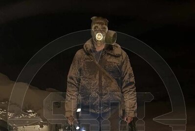    Последствия выброс пепла вулканом Шивелуч на Камчатке ©Telegram-канал "SHOT"