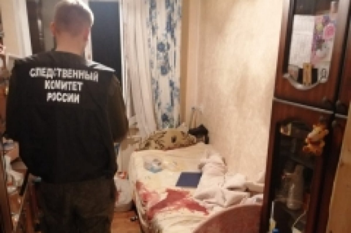    В Новомосковске подросток пытался зарезать родную бабушку