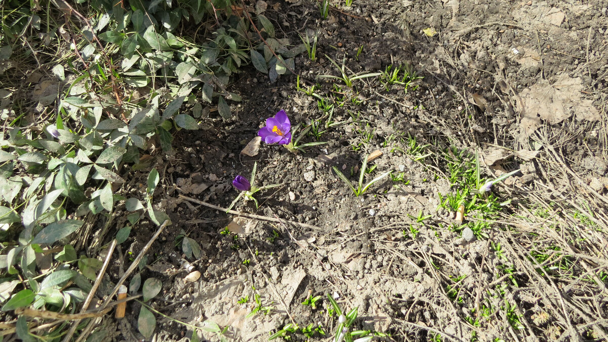 10.04.2023. Кто больше окурков насчитает?