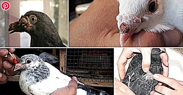 фото с просторов интеренэта