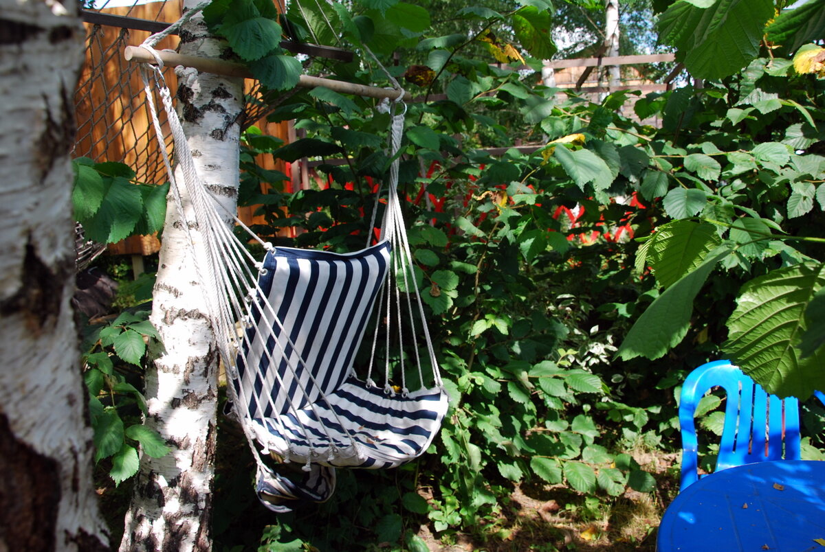 Фоточка прошлогодняя, деревья у нас едва подернулись нежнейшей зеленью