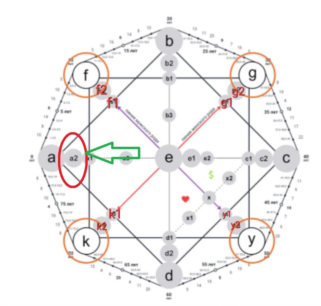 Матрица судьбы родительская карма. Детско-родительская карма в матрице судьбы. Линия отца в матрице судьбы. Детская матрица судьбы расшифровка.