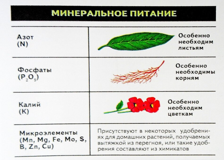 Проект минеральные удобрения вред или польза