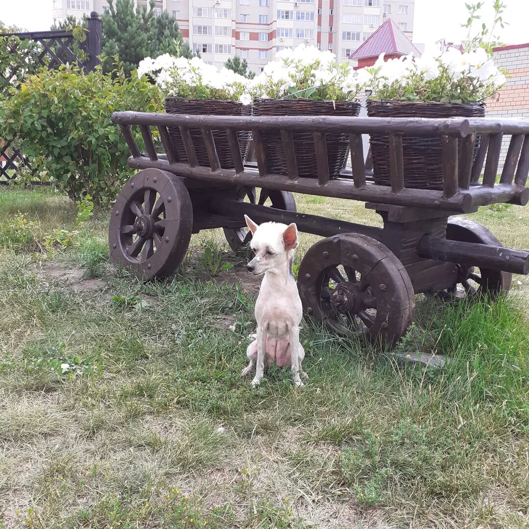 Эфася просто здесь для красоты) 
