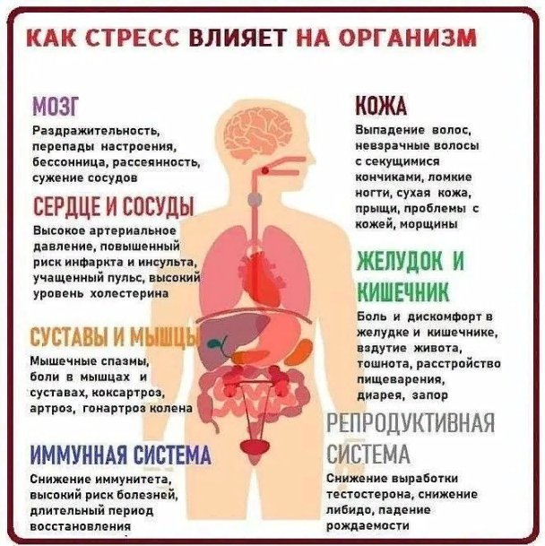 Влияние стресса на организм