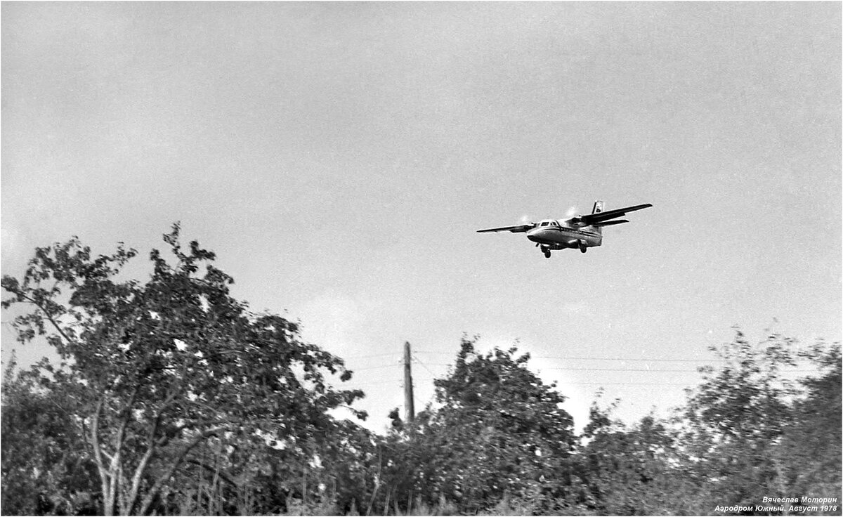 Смоленский транспорт. Самолёты Л-410 | Наш Смоленск: история, люди,  архитектура | Дзен