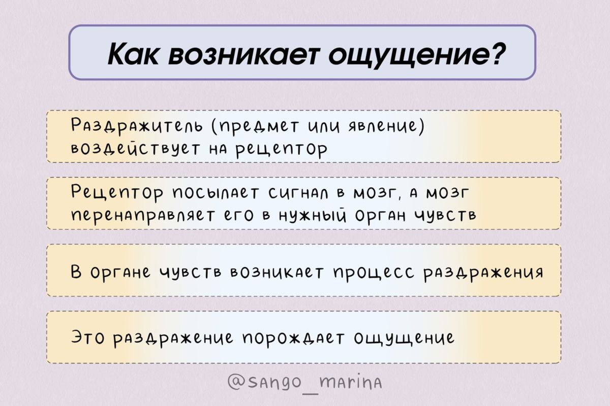 Ощущения. Что это такое и почему они важны | Психолог Марина Санго | Дзен