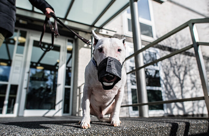    Guido Kirchner/dpa/DPA/TASS