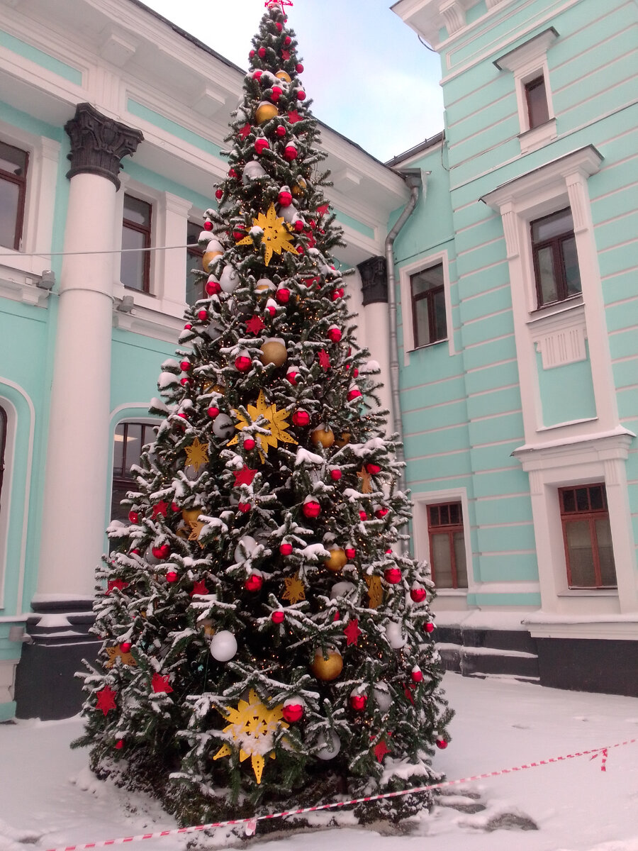 Володя с Зимом носились по комнатам,раздражая взрослых,маму и папу,и прибывших бабушку и дедушку из Сыктывкара,которые готовились отпраздновать Новый год.Зим то и дело забегал на кухню,из которой исходили вкусные запахи еды.