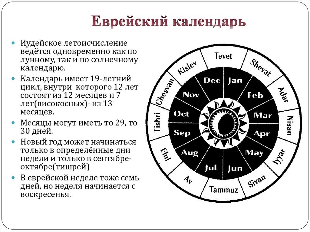 Иудейский проект что это