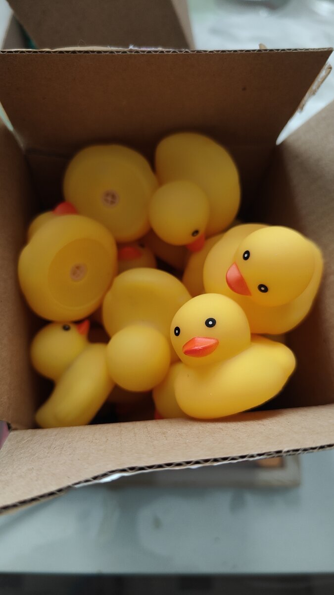 Какие они милые!